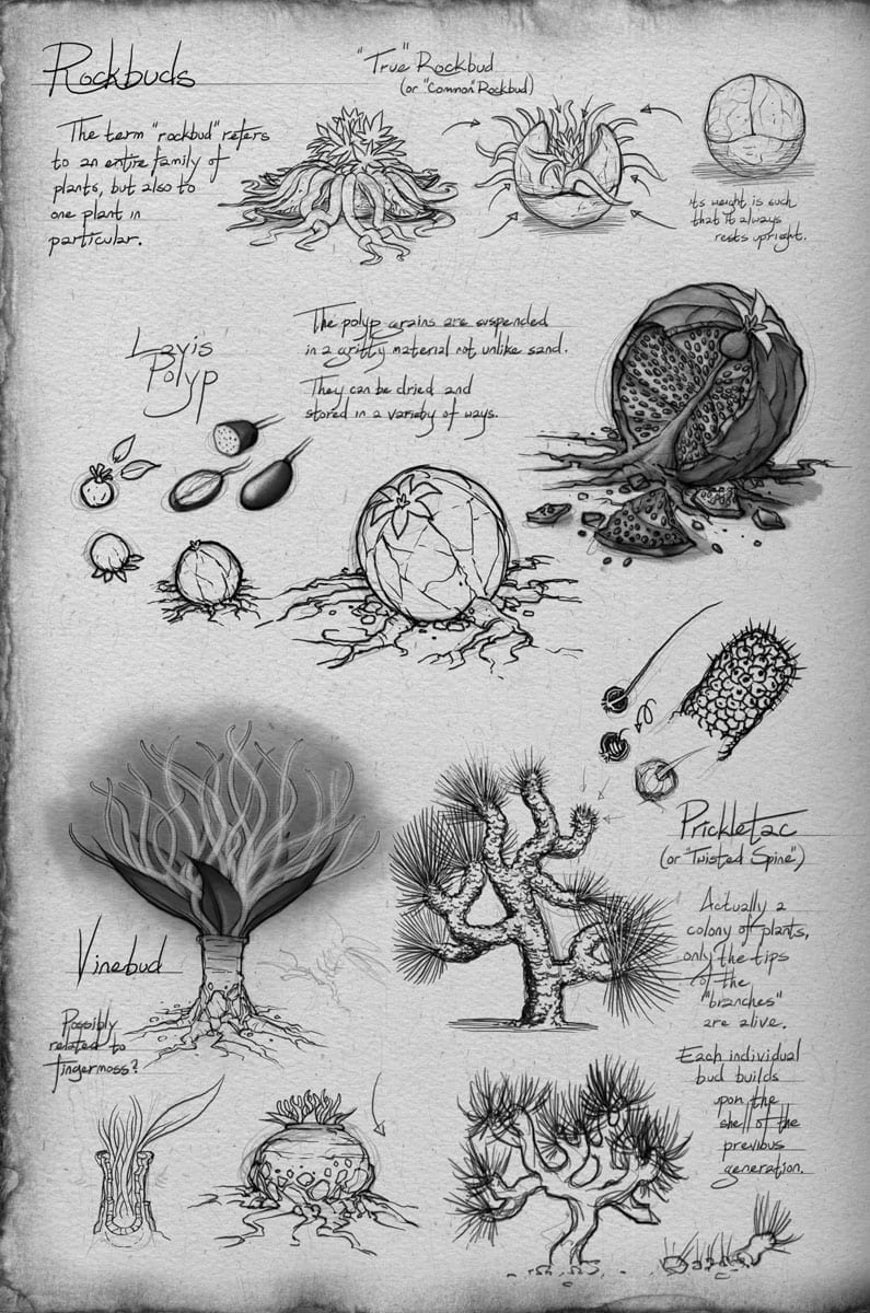 A depiction of rockbuds from Shallan Davar's sketchbook.